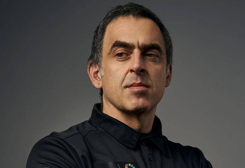 归无疑将提 归无疑将提