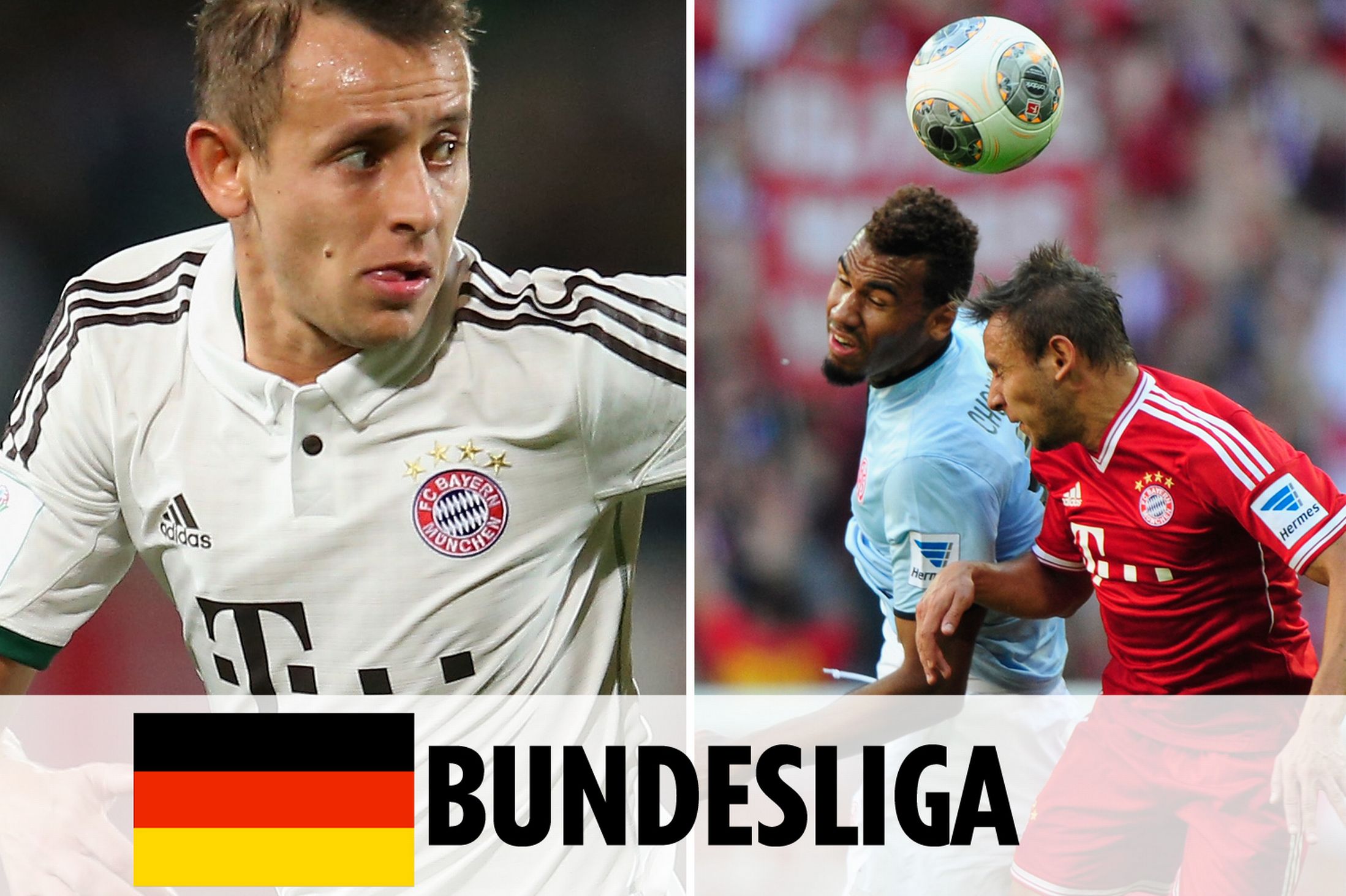 毅力和無數 毅力和無數