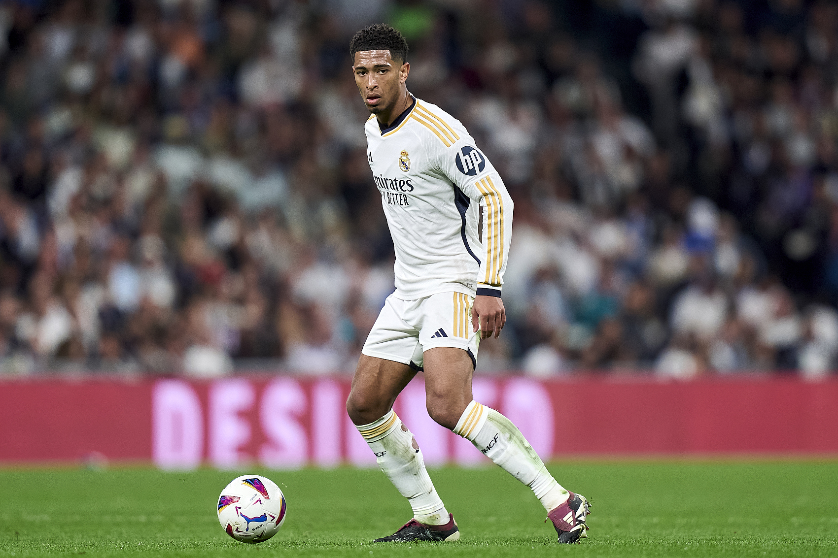 他们的职业 他们的职业